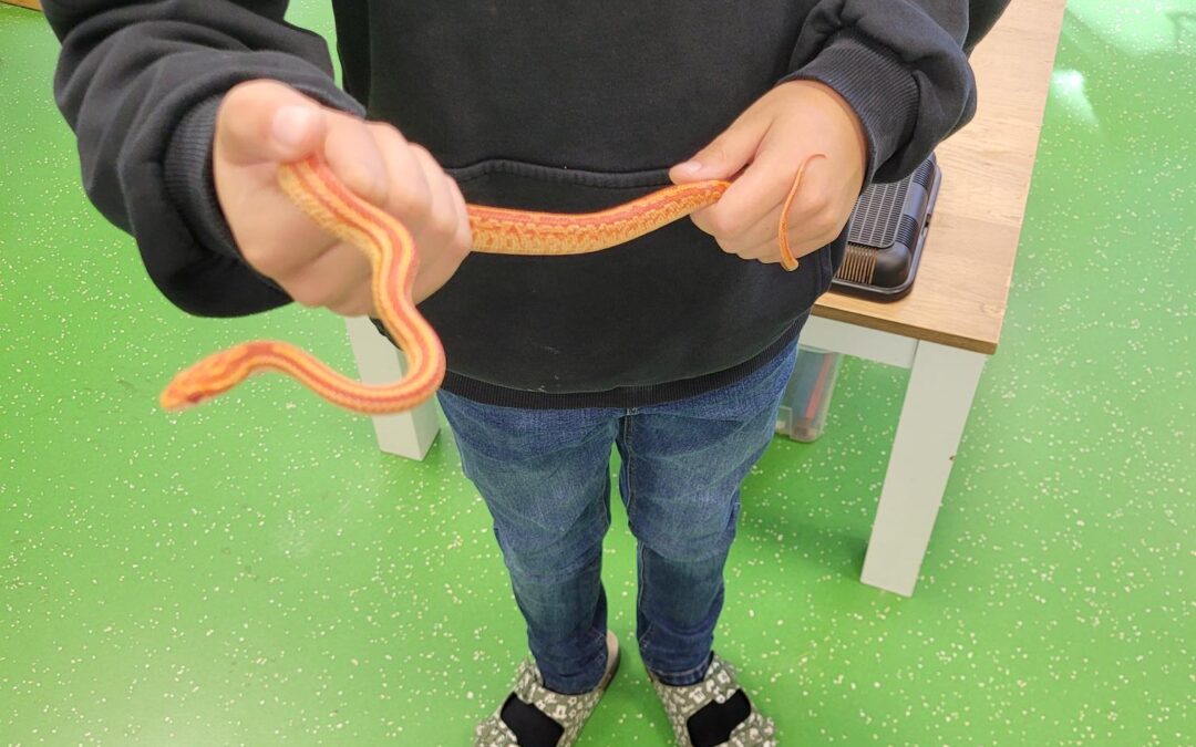 Tierischer Besuch in der Vinhovenschule