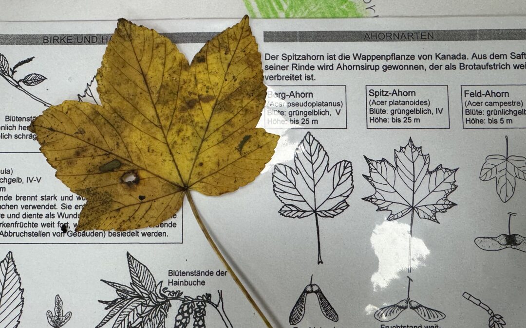 Zu Besuch in der Eva Lorenz Station