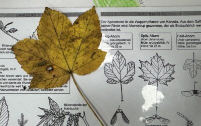 Zu Besuch in der Eva Lorenz Station