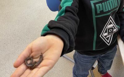 Regenwurmprojekt in den 2. Klassen