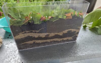 Forscherraum: Projetkthema Natur