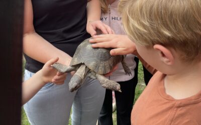 Haustiere in der Vinhovenschule